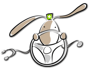 zelfsturend-teamlid-300x242